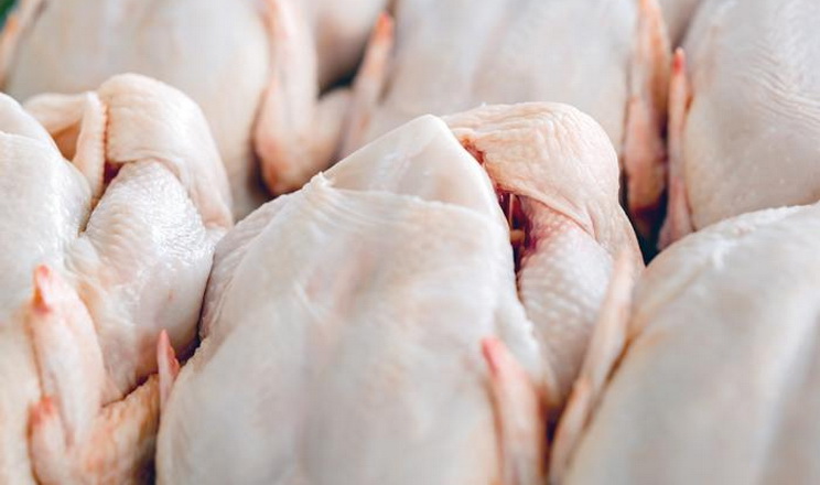 У 2023 р Україна експортувала курятини на $800 млн