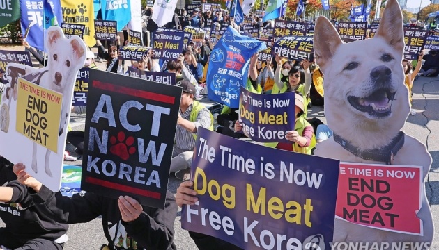У Південній Кореї заборонили їсти собаче м’ясо