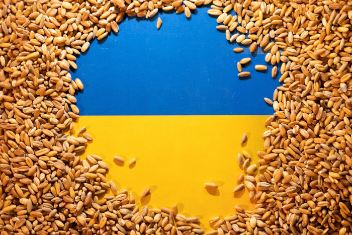 «Позитивний крок»: Україна підтвердила початок переговорів із Польщею про експортні ліцензії
