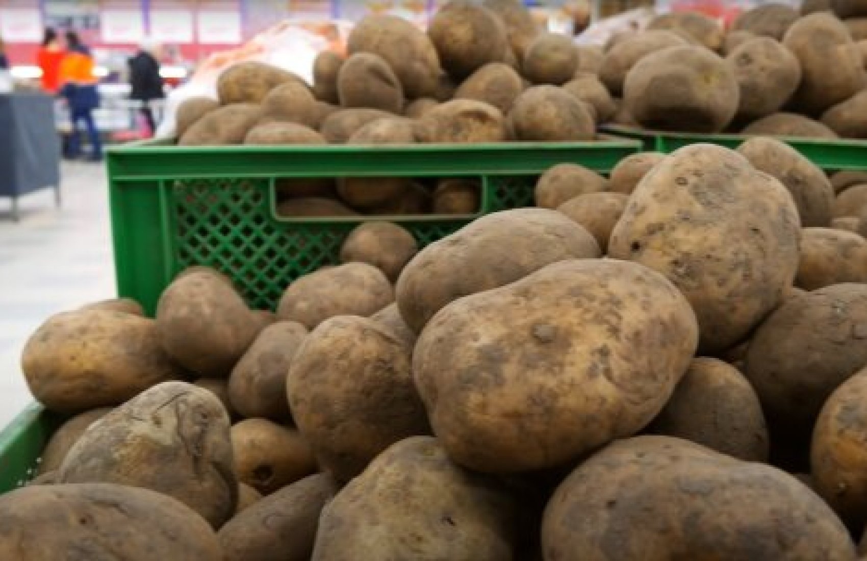 На тлі цінових рекордів Україна почала імпортувати картоплю з Польщі