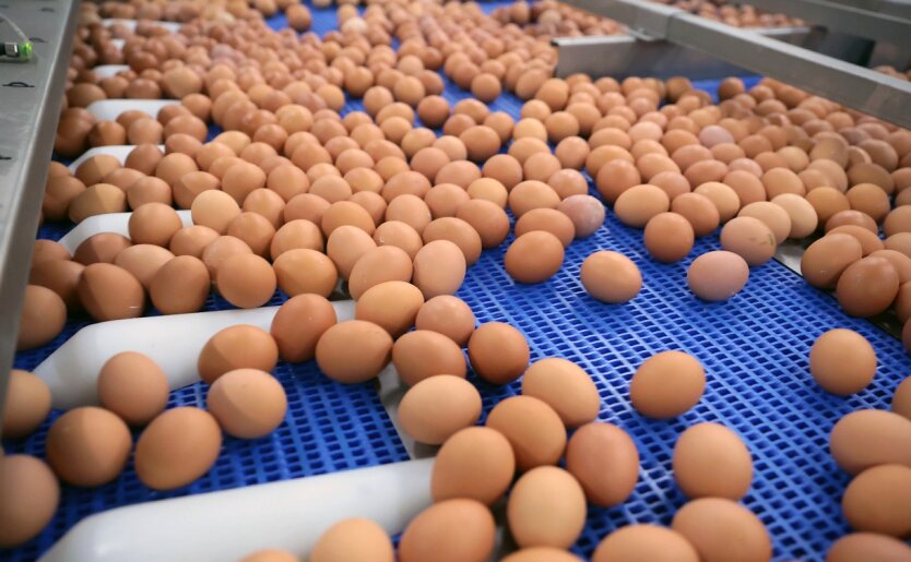 Супермаркети оновили ціни на соняшникову олію та яйця
