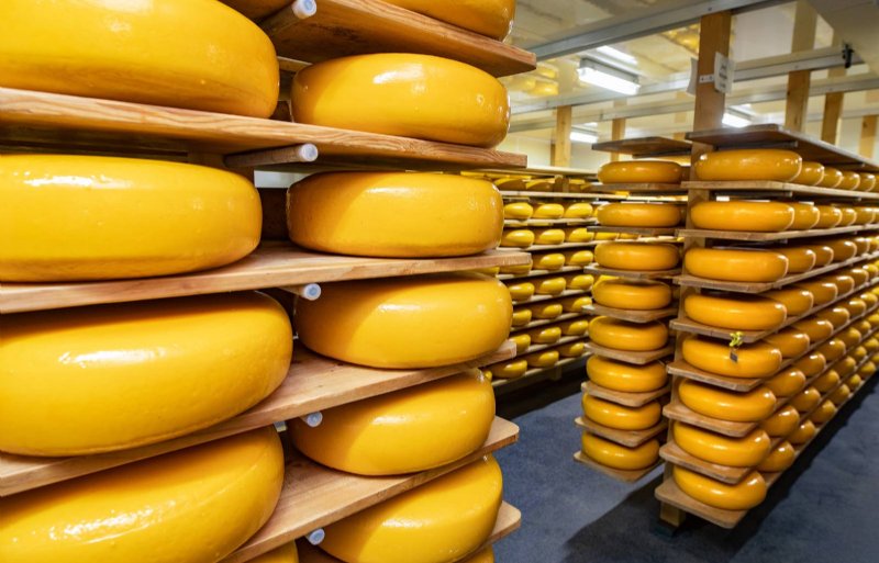 Україна суттєво нарощує імпорт сиру
