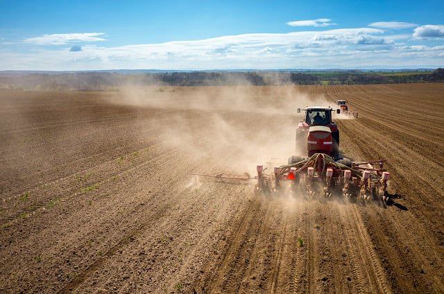 Фермер на Миколаївщині засіяв понад 400 га землі військового полігону