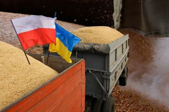 Польща та Україна починають переговори щодо імпорту агротоварів: обмеження не скасують 