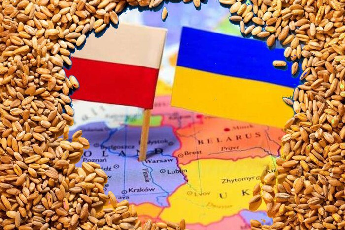 Влада Польщі закликала повідомляти про факти напливу зерна з України правоохоронцям