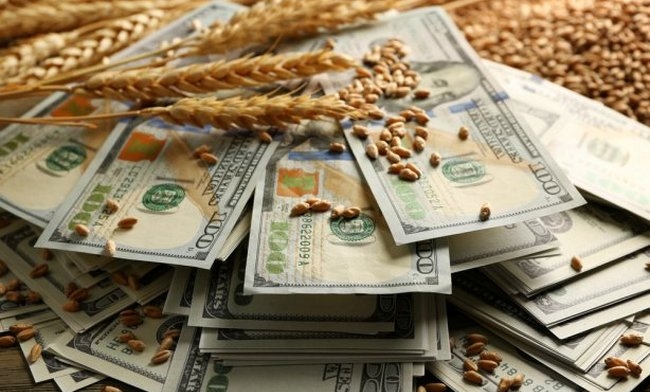 Пшеничні котирування на світових біржах впали на 3-6,6%