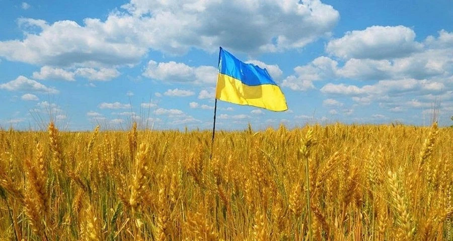 На Львівщині у росіянина конфіскували чотири земельні ділянки