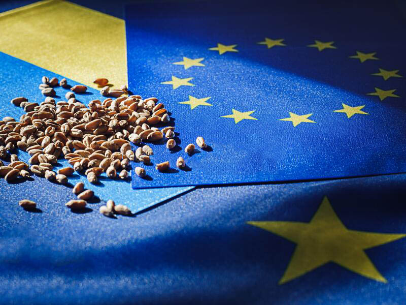 Аграрії просять зберегти відкритий доступ українських товарів до ринку ЄС