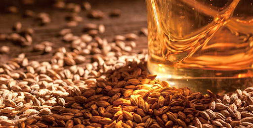 Солодового ячменю вистачить для виробництва пива та віскі, навіть попри скорочення урожаю 