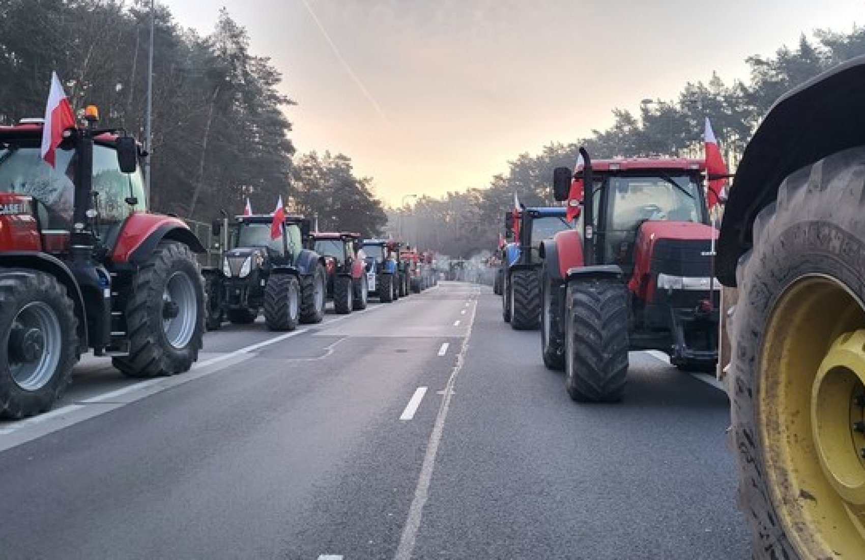 Польські фермери заявили, що побоюються силового сценарію на кордоні з Україною