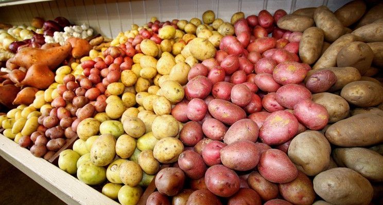 Експертка спрогнозувала можливий обвал цін на картоплю