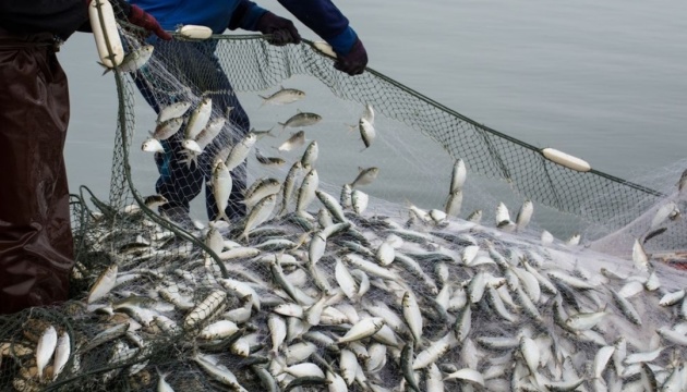 Вилов риби та інших водних біоресурсів в Україні торік збільшився на 13%