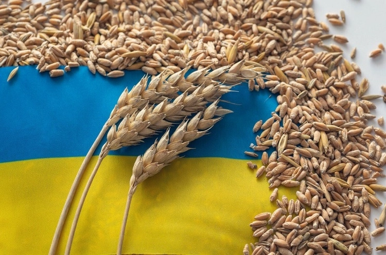 Польща оприлюднить список компаній, які імпортували українське зерно на майже півтора мільярда євро
