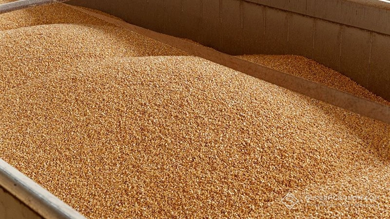 Болгарія передасть всі дані про компанії, які порушили режим ліцензування експорту зерна