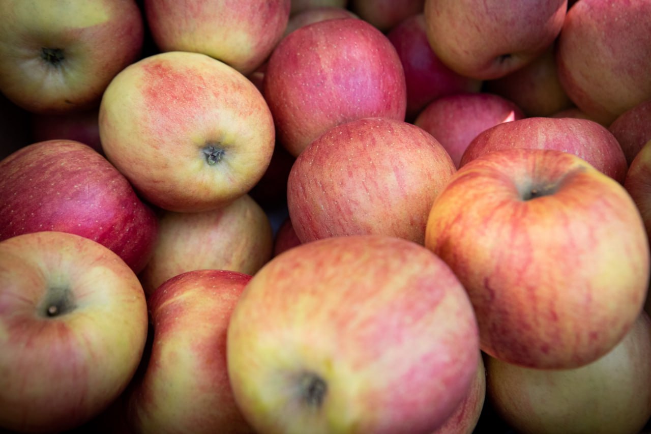 Україна встановила рекорд з експорту яблук