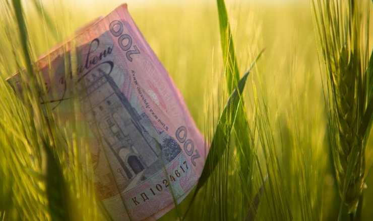 Майже 24 млрд гривень кредитів отримали агрогосподарства з початку року