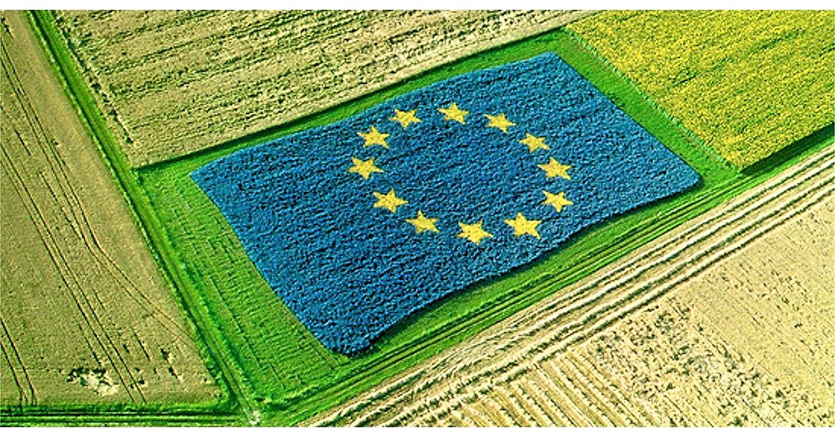 Зміни в сільськогосподарському секторі ЄС: зменшення кількості ферм та ріст середнього розміру ферми