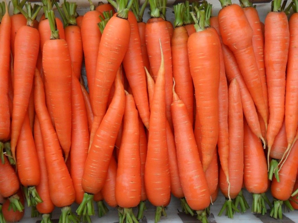 Незважаючи на зростання цін, морква в Україні коштує набагато дешевше, ніж рік тому