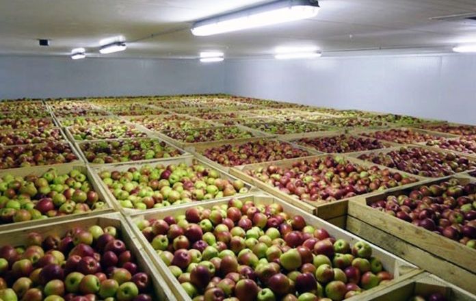 Запаси фруктів у сховищах України помітно нижчі за минулорічні