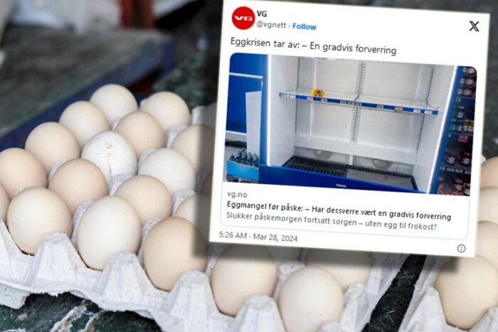 Кури оголосили страйк: у Скандинавії розгорнулася справжня яєчна криза