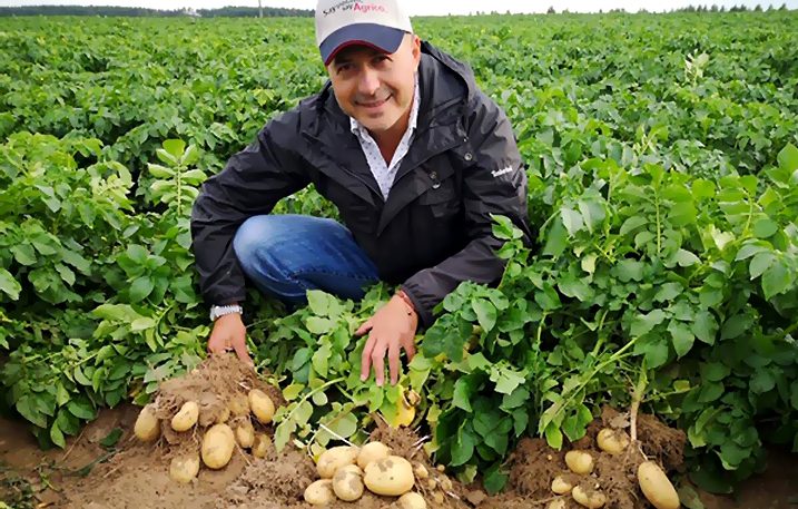 Українські аграрії можуть зіткнутися з дефіцитом насіннєвої картоплі