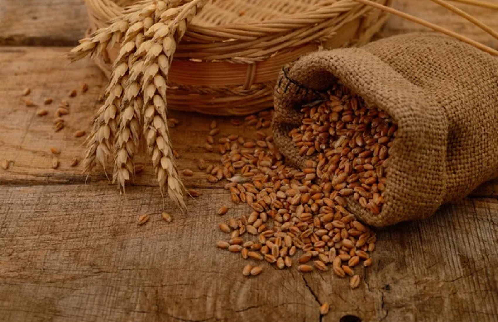 П’ять країн закликали Єврокомісію заборонити імпорт російського зерна