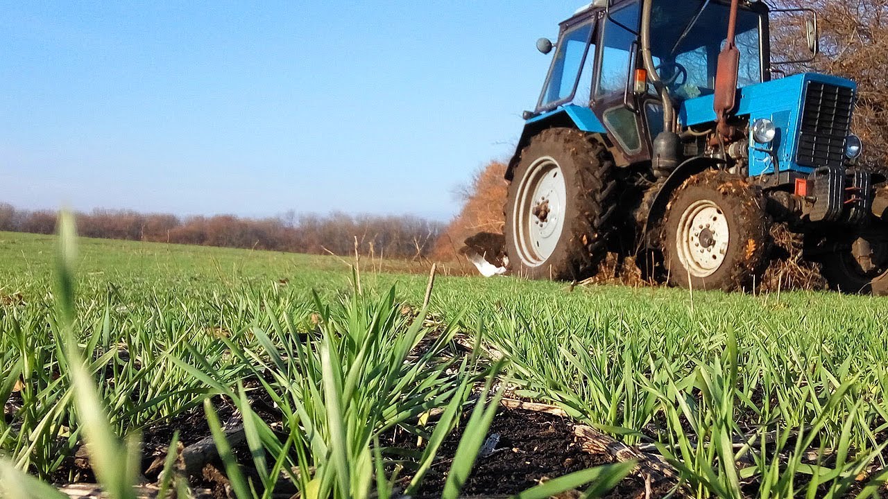 Впродовж другої декади березня в Україні не спостерігалося несприятливих явищ для посівів сільгоспкультур
