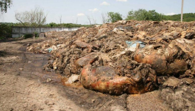 На Київщині забруднили тушами померлих тварин понад 1,3 гектари земель