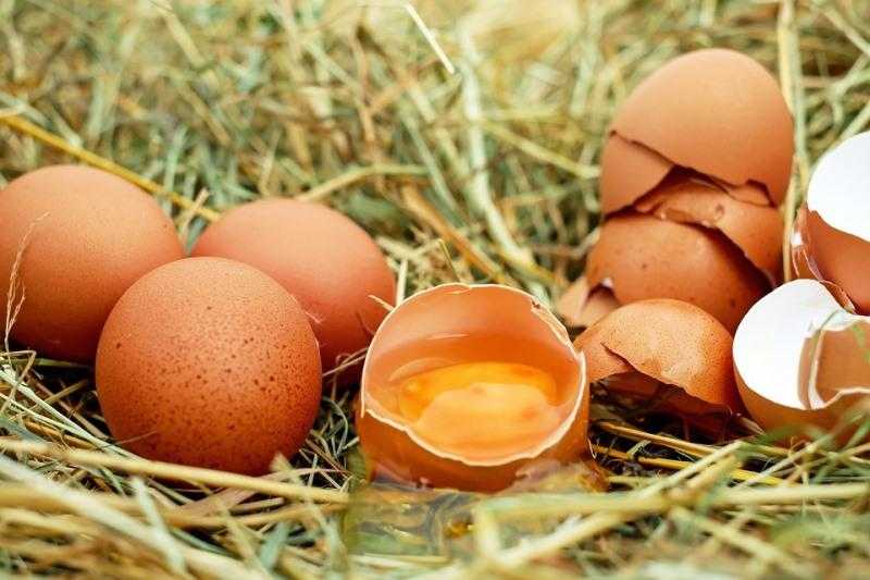 За рік Україна стала експортувати яйця ще до 10 країн