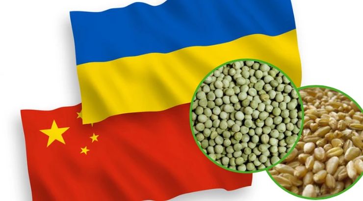 Україна в перспективі може експортувати до Китаю пшеницю та горох