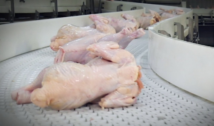 Експорт м’яса птиці за 2 місяці приніс на 23% більше виторгу