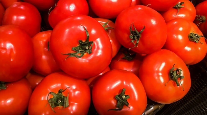 В Україні стрімко дешевшають імпортні томати