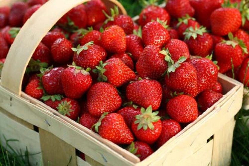 Полуниця у квітні: за якими цінами продають ягоду в супермаркетах