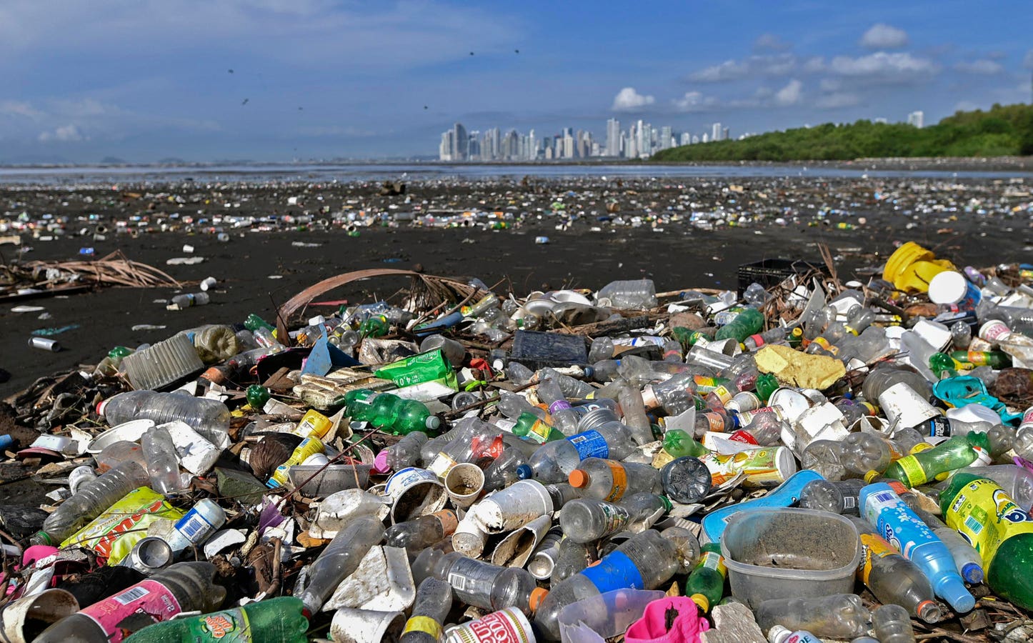 РepsiCo, Nestlé і Danone серед найбільших забруднювачів навколишнього середовища пластиком, – дослідження