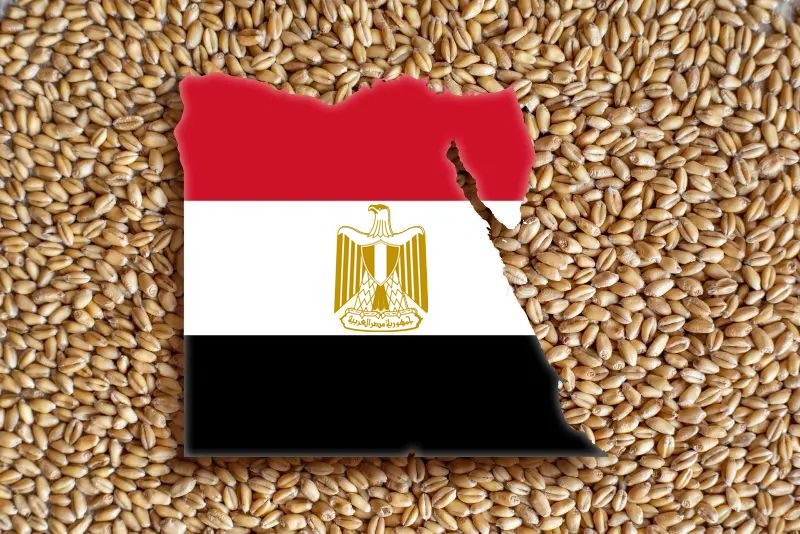 Єгипет стане найбільшим світовим імпортером пшениці