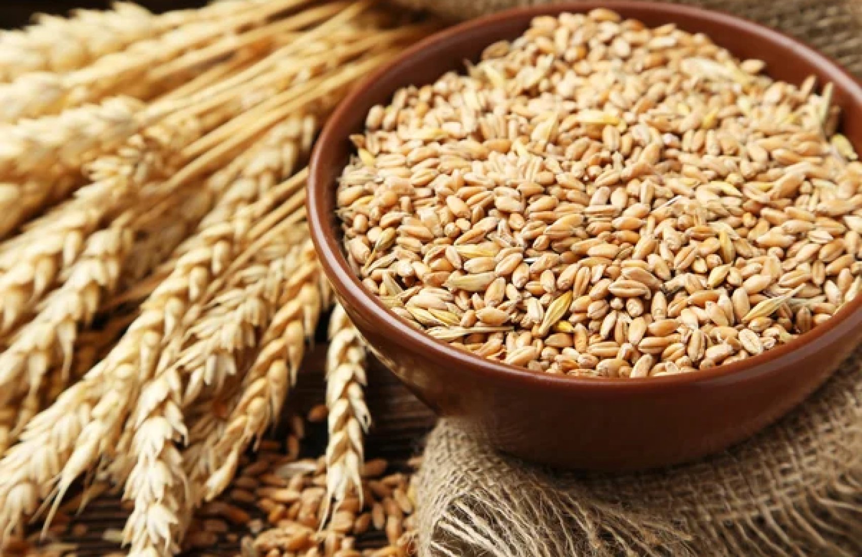 Продовольча пшениця поставить цінові рекорди у новому сезоні