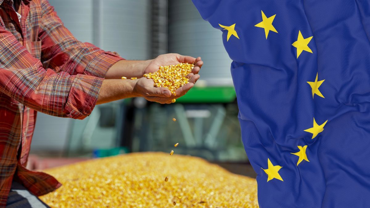 ЕС посилює заходи щодо контрою якості сільськогосподарської продукції