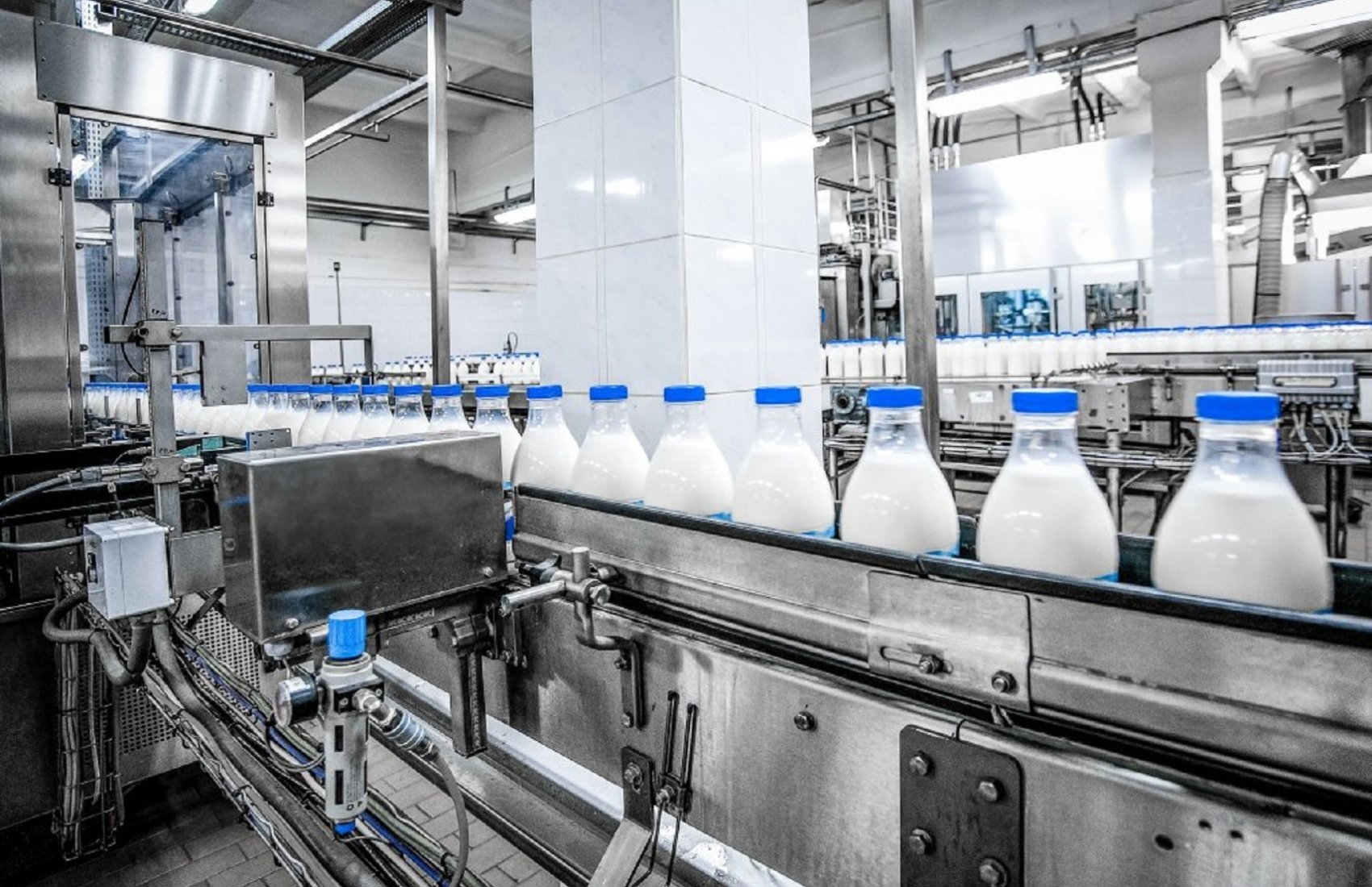Закупівельні ціни на молоко в Україні знижуються: які причини