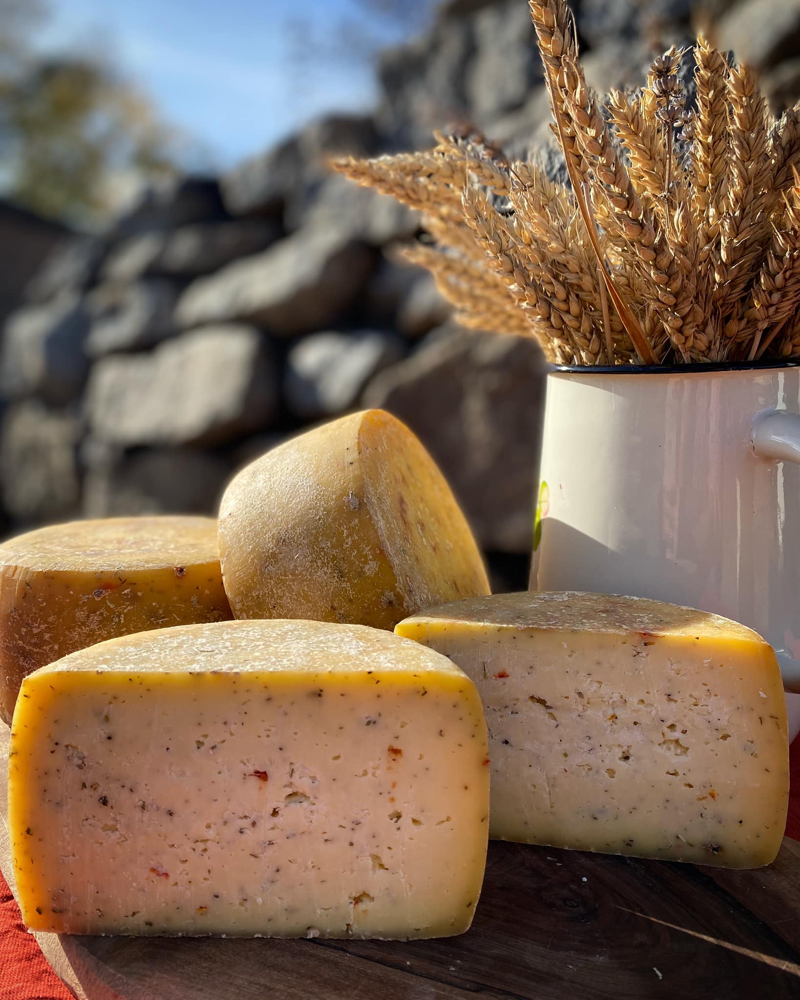На Житомирщині варять авторський сир з бузиною, медом та аджикою