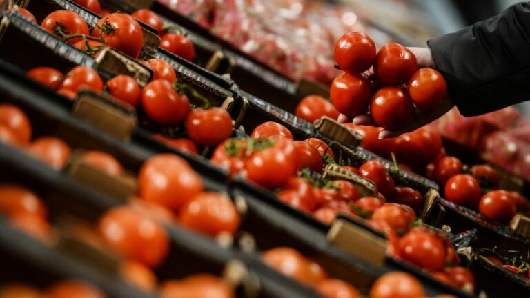 В Україні стрімко подешевшали томати: які ціни