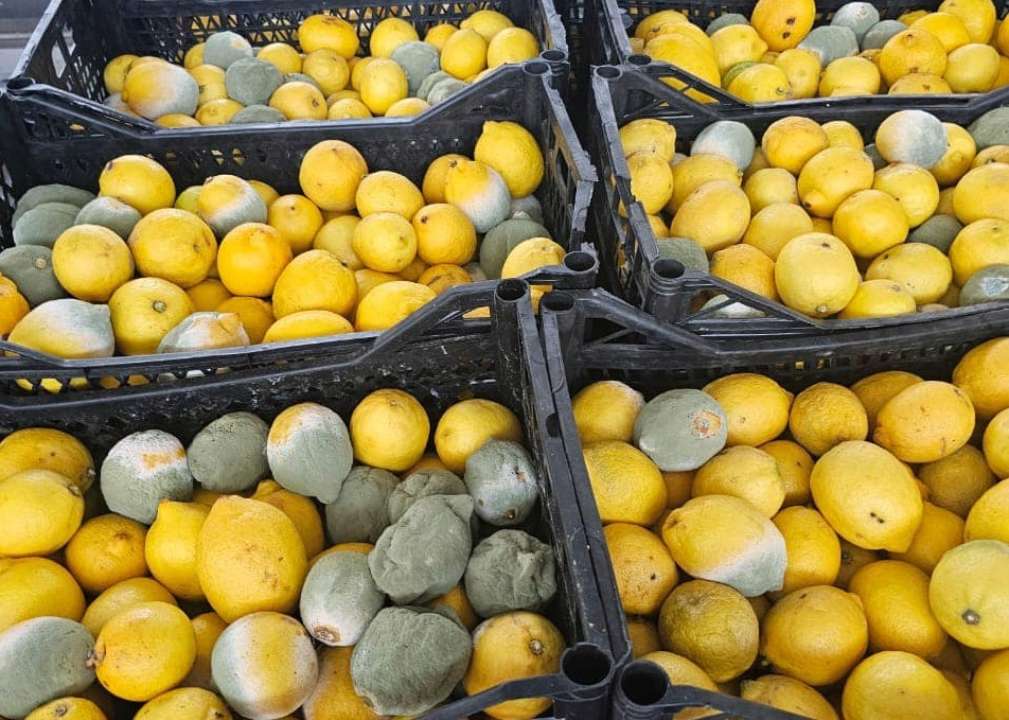 В Україну не пустили 1,5 тонни лимонів і 1,3 тонни кабачків з пестицидами