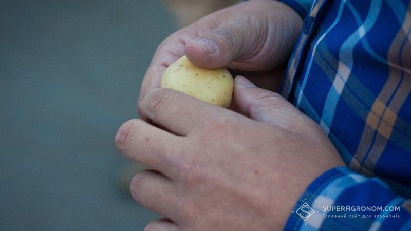 В Україні втричі зменшилась кількість фермерів