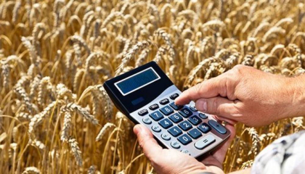 В Україні почали гарантувати інвестиційні кредити для фермерів