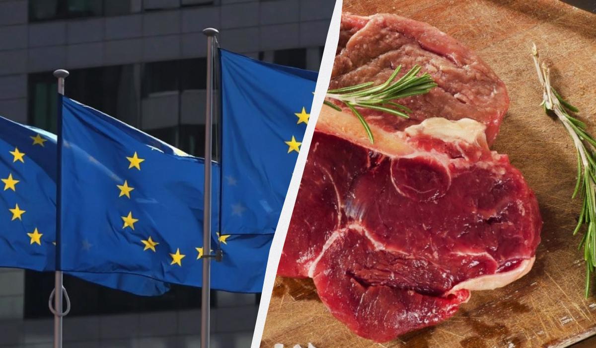 Китай вирішив помститись ЄС за мита на електромобілі: під прицілом – європейська свинина