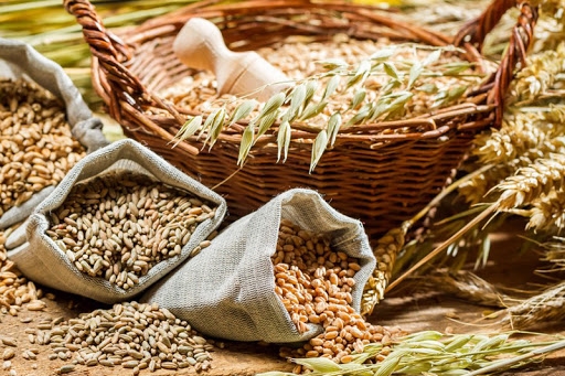 Туреччина може продовжити заборону на імпорт пшениці на тлі гарного урожаю та значних запасів
