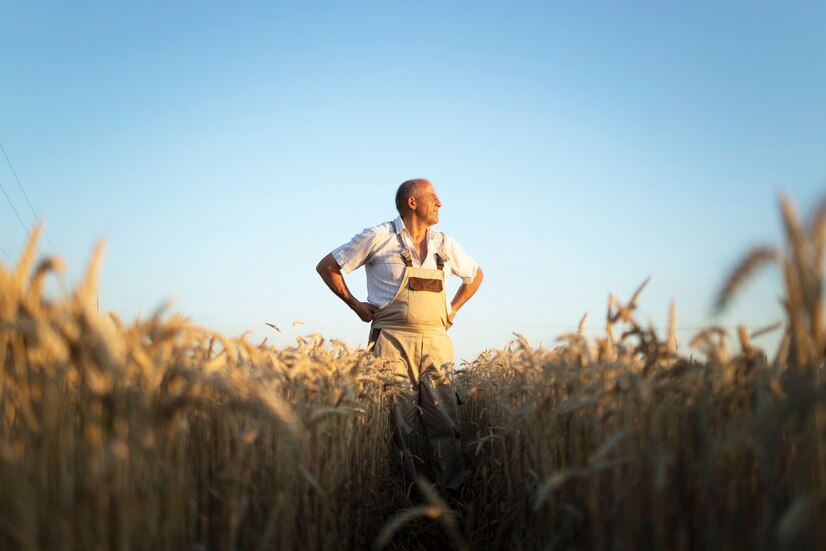 У Німеччині хочуть підняти мінімальні зарплати: фермери бояться стати неконкурентними з поляками