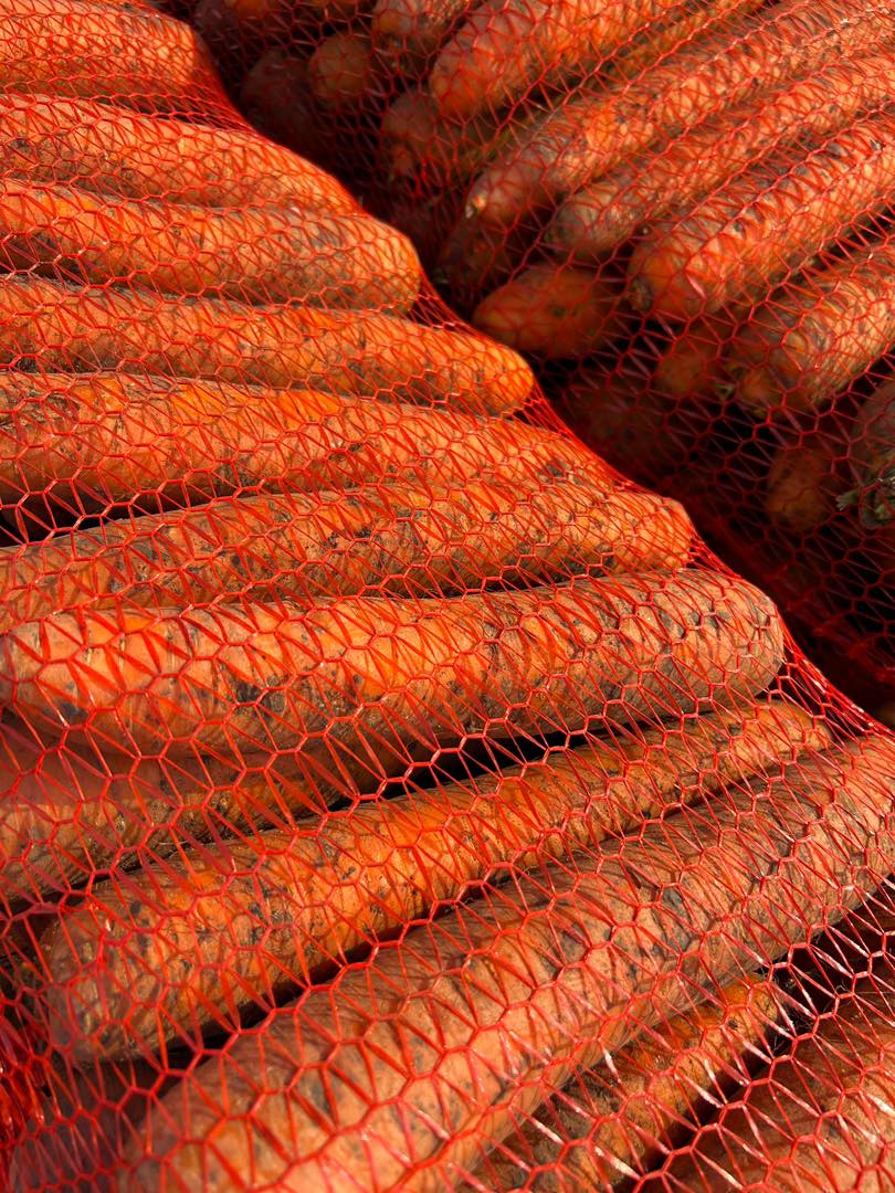 В Україні впала ціна на моркву: яка вартість