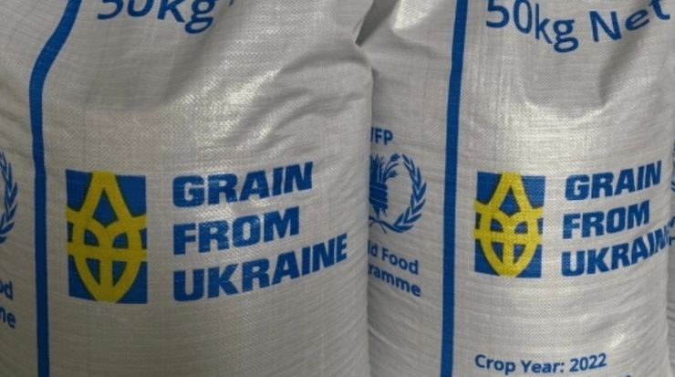 Grain from Ukraine: в ООН хочуть закуповувати дороблену продукцію