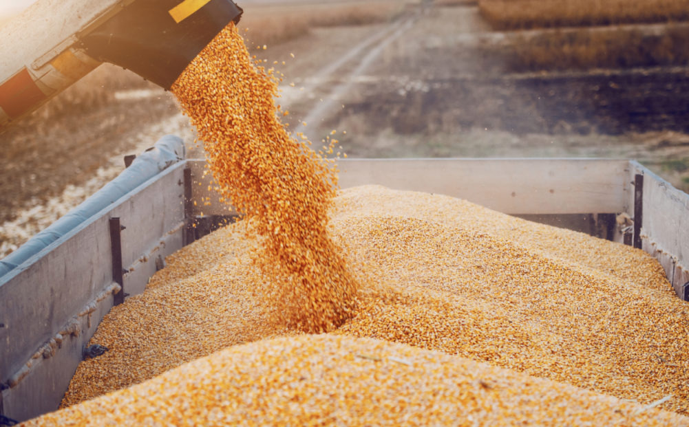 Молдова може обмежити імпорт зернових, соняшника та кукурудзи з України 