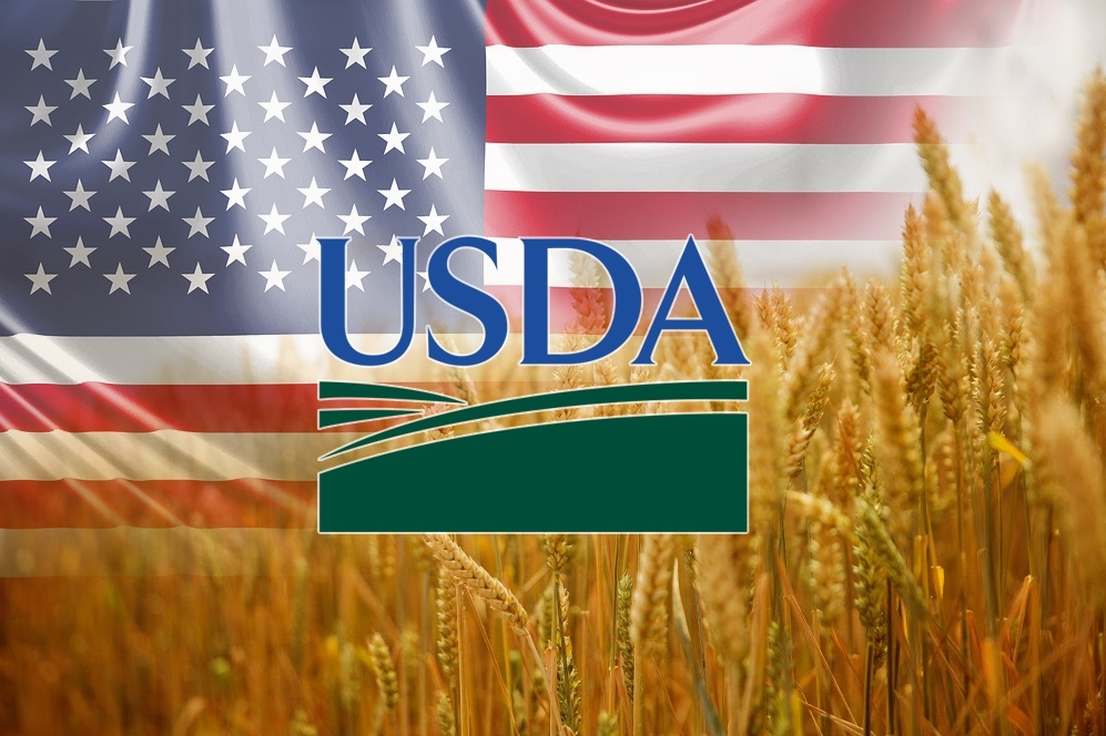 USDA знизив прогноз світового урожаю пшениці